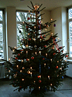 Weihnachtsbaum